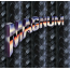 MAGNUM SHIELDING Logo