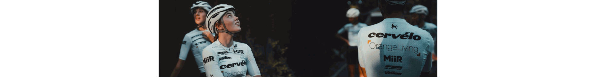 банер на производителя