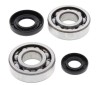 

                crankshaft bearing
