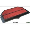 Filtru de aer HIFLO HFA3908 thumb