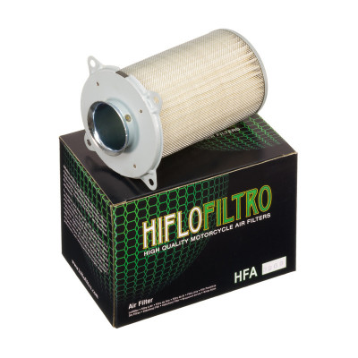Filtru de aer HIFLO HFA3909