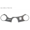 Protector de trepied PPSS25P/PR3208 SUZUKI GSXR 1000 2007-2008an.