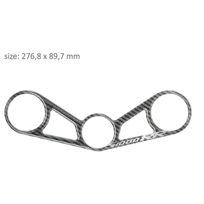 Protector de trepied PPSB15P/PR3120 BMW S1000RR/HP4