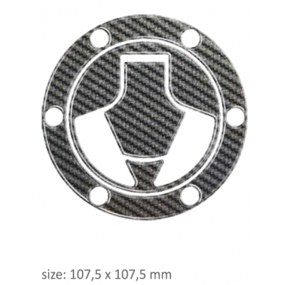 Protecție pentru capac PTGSK4P/PR3102 KAWASAKI ZX250; ZX300 ABS