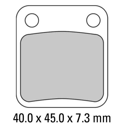 Garnituri frână FERODO FDB250P