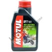 MOTUL Scooter Expert 2T thumb