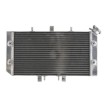 Radiator RAD-103 Polaris Outlaw 525IRS 2008-11 / 525S 2008-10 / 525SE 2008-10 Radiator RAD-103 Polaris Outlaw 525IRS 2008-11 / 525S 2008-10 / 525SE 2008-10 thumb