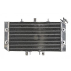 Radiator RAD-103 Polaris Outlaw 525IRS 2008-11 / 525S 2008-10 / 525SE 2008-10 Radiator RAD-103 Polaris Outlaw 525IRS 2008-11 / 525S 2008-10 / 525SE 2008-10