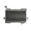 Radiator RAD-098 Suzuki LT-R 450/450Z (Quadracer) 2006-2009 thumb