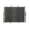 Radiator RAD-102 Polaris Ace / Ranger