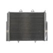 Radiator RAD-102 Polaris Ace / Ranger thumb