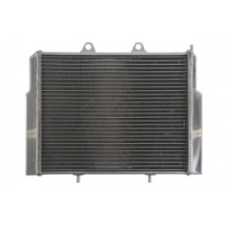 Radiator RAD-102 Polaris Ace / Ranger Radiator RAD-102 Polaris Ace / Ranger