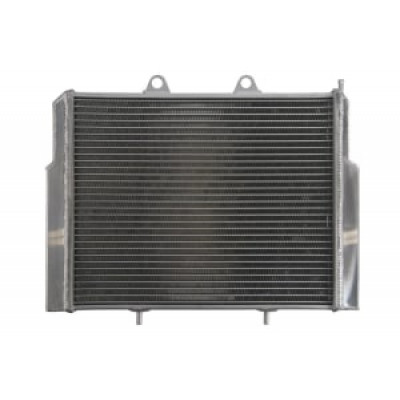 Radiator RAD-102 Polaris Ace / Ranger