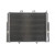 Radiator RAD-102 Polaris Ace / Ranger thumb
