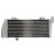 Radiator RAD-031-032L KTM SX 125/144/250 - 2007 / SXS 125/250 - 2007 Radiator RAD-031-032L KTM SX 125/144/250 - 2007 / SXS 125/250 - 2007 thumb