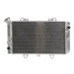 Radiator RAD-121 Yamaha YFM 660F / FWA (Grizzly) 2002-2008 Radiator RAD-121 Yamaha YFM 660F / FWA (Grizzly) 2002-2008 thumb