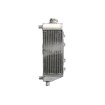 Radiator RAD-125R Yamaha YZ 250 2002-2019 / YZ 250X 2016-2019 thumb