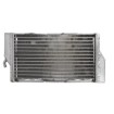 Radiator RAD-042L Honda CR 250 2000-2001 Radiator RAD-042L Honda CR 250 2000-2001 thumb