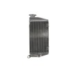 Radiator RAD-089 Kawasaki KLR 650 1997-2007 Radiator RAD-089 Kawasaki KLR 650 1997-2007 thumb