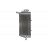 Radiator RAD-052R Honda CRE 450F (X) 2005-2009 / Honda CRF 450X 2005-2017 Radiator RAD-052R Honda CRE 450F (X) 2005-2009 / Honda CRF 450X 2005-2017 thumb