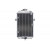Radiator RAD-055 Yamaha YFM 660R (Raptor) 2001-2005 Radiator RAD-055 Yamaha YFM 660R (Raptor) 2001-2005 thumb