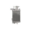 Radiator RAD-643 BMW R 1200 thumb