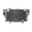 Radiator RAD-640 Honda CRF 1000L Africa Twin 2016-2018 Radiator RAD-640 Honda CRF 1000L Africa Twin 2016-2018 thumb