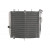 Radiator RAD-603 Kawasaki ZX-10R 1000 ABS 2012-2017 / ZX-10R 1000 -11-17 Radiator RAD-603 Kawasaki ZX-10R 1000 ABS 2012-2017 / ZX-10R 1000 -11-17 thumb