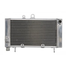 Radiator moto RAD-649 Honda CBF 500/ 500A (ABS) 2004-2008 Radiator moto RAD-649 Honda CBF 500/ 500A (ABS) 2004-2008