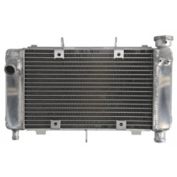 Radiator RAD-561 Yamaha FZ6 600N/600S 04-06 / 600NA (ABS) 05-06 / 600S (Fazer ABS) 2006 Radiator RAD-561 Yamaha FZ6 600N/600S 04-06 / 600NA (ABS) 05-06 / 600S (Fazer ABS) 2006