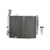 Radiator RAD-613 Triumph Daytona 675 2006-2012