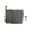 Radiator RAD-613 Triumph Daytona 675 2006-2012 Radiator RAD-613 Triumph Daytona 675 2006-2012 thumb