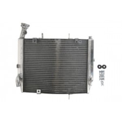 Radiator RAD-613 Triumph Daytona 675 2006-2012 Radiator RAD-613 Triumph Daytona 675 2006-2012