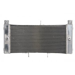 Radiator RAD-639 Kawasaki Ninja 250R 2009-2010 / Yamaha VMX 1700 (V-Max) 2009-18 Radiator RAD-639 Kawasaki Ninja 250R 2009-2010 / Yamaha VMX 1700 (V-Max) 2009-18