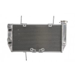Radiator RAD-607 Ducati Multistrada 1200/1200 S 2010-2014 / 1200 ABS 2010 Radiator RAD-607 Ducati Multistrada 1200/1200 S 2010-2014 / 1200 ABS 2010