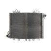 Radiator RAD-593 Kawasaki ZZR 1100D 1993-2001 / Kawasaki ZZR 1100G 1998-2001 Radiator RAD-593 Kawasaki ZZR 1100D 1993-2001 / Kawasaki ZZR 1100G 1998-2001 thumb
