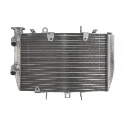 Radiator RAD-616 Triumph Speed Triple 1050 2011-2015