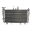 Radiator RAD-615 Triumph Speed Triple 1050 2005-2010