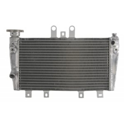 Radiator RAD-615 Triumph Speed Triple 1050 2005-2010