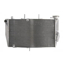 Radiator RAD-519 Honda CBR 600RR 2003-2006 Radiator RAD-519 Honda CBR 600RR 2003-2006