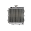 Radiator RAD-202 Honda TRX 420/500 Radiator RAD-202 Honda TRX 420/500 thumb