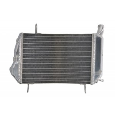Radiator RAD-608 Ducati Streetfighter 1099/1099 S 2009-2012 / 848 - 2012-2015