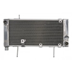 Radiator RAD-550 Suzuki SV 1000S 2003-2007