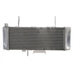 Radiator RAD-539 Suzuki SV 650S 2003-2004 Radiator RAD-539 Suzuki SV 650S 2003-2004
