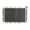 Radiator RAD-218 Yamaha YFM 700F 2007-2008