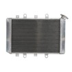 Radiator RAD-218 Yamaha YFM 700F 2007-2008 Radiator RAD-218 Yamaha YFM 700F 2007-2008 thumb