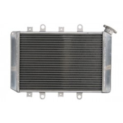 Radiator RAD-218 Yamaha YFM 700F 2007-2008 Radiator RAD-218 Yamaha YFM 700F 2007-2008