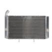 Radiator RAD-651 Honda CBR 600FA (ABS) 2011-2013 Radiator RAD-651 Honda CBR 600FA (ABS) 2011-2013 thumb