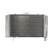 Radiator RAD-647 Honda CB 500 94-03 / 500 (Cup) 98-99/ 500R 1994 / 500S (Sport) 96-03 Radiator RAD-647 Honda CB 500 94-03 / 500 (Cup) 98-99/ 500R 1994 / 500S (Sport) 96-03 thumb