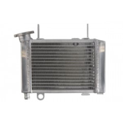Radiator RAD-645 Honda CBR 125R 2012-2017 Radiator RAD-645 Honda CBR 125R 2012-2017
